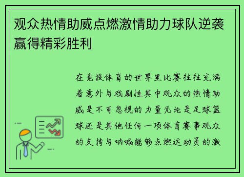 观众热情助威点燃激情助力球队逆袭赢得精彩胜利
