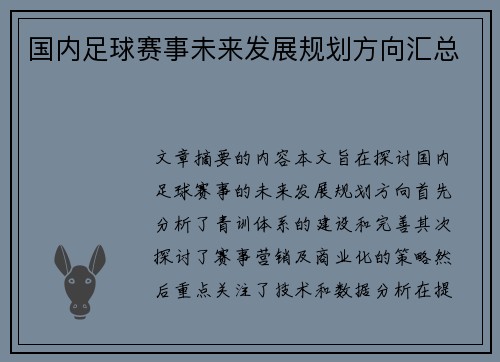 国内足球赛事未来发展规划方向汇总