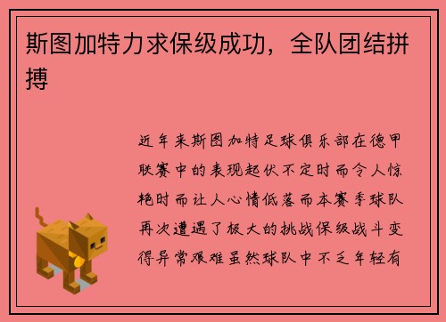 斯图加特力求保级成功，全队团结拼搏