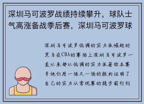 深圳马可波罗战绩持续攀升，球队士气高涨备战季后赛，深圳马可波罗球队资料