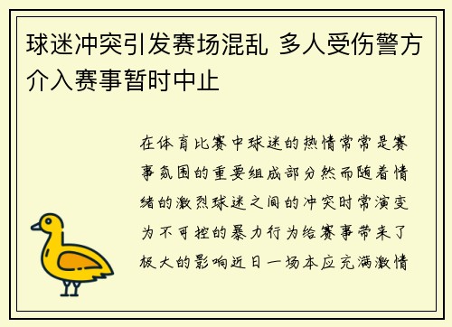 球迷冲突引发赛场混乱 多人受伤警方介入赛事暂时中止